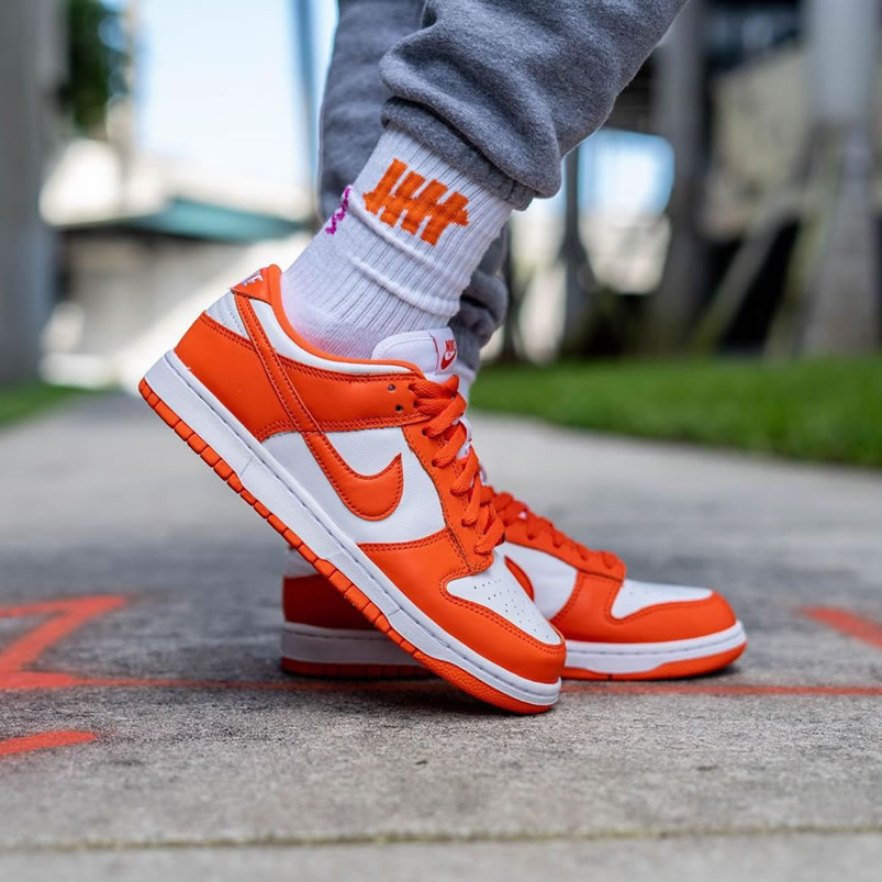 Nike Sb Dunk Low Sp Syracuse Orange Blaze Cu1726 101 On Feet (1) - www.newkick.org