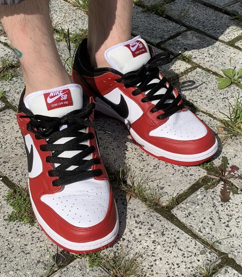 Nike Sb Dunk Low Pro Chicago Varsity Red Release Date On Feet Bq6817 600 (7) - www.newkick.org Nike Sb Dunk Low Pro Chicago Varsity Red Release Date On Feet Bq6817 600 (7) - www.newkick.org