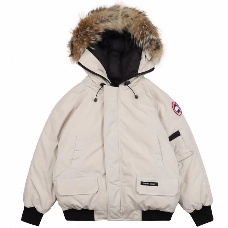 01 Canada Goose 19fw Pbi Chilliwack 7999mpb Down Jacket Coat Cream White (1) - www.newkick.org 01 Canada Goose 19fw Pbi Chilliwack 7999mpb Down Jacket Coat Cream White (1) - www.newkick.org