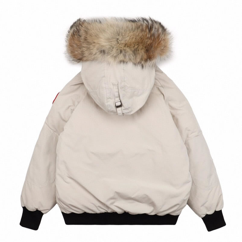 01 Canada Goose 19fw Pbi Chilliwack 7999mpb Down Jacket Coat Cream White (2) - www.newkick.org 01 Canada Goose 19fw Pbi Chilliwack 7999mpb Down Jacket Coat Cream White (2) - www.newkick.org