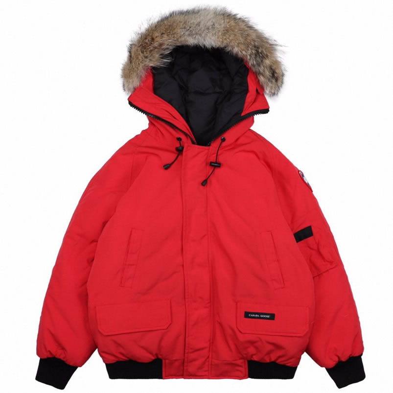 01 Canada Goose 19fw Pbi Chilliwack 7999mpb Down Jacket Coat Red (1) - www.newkick.org 01 Canada Goose 19fw Pbi Chilliwack 7999mpb Down Jacket Coat Red (1) - www.newkick.org