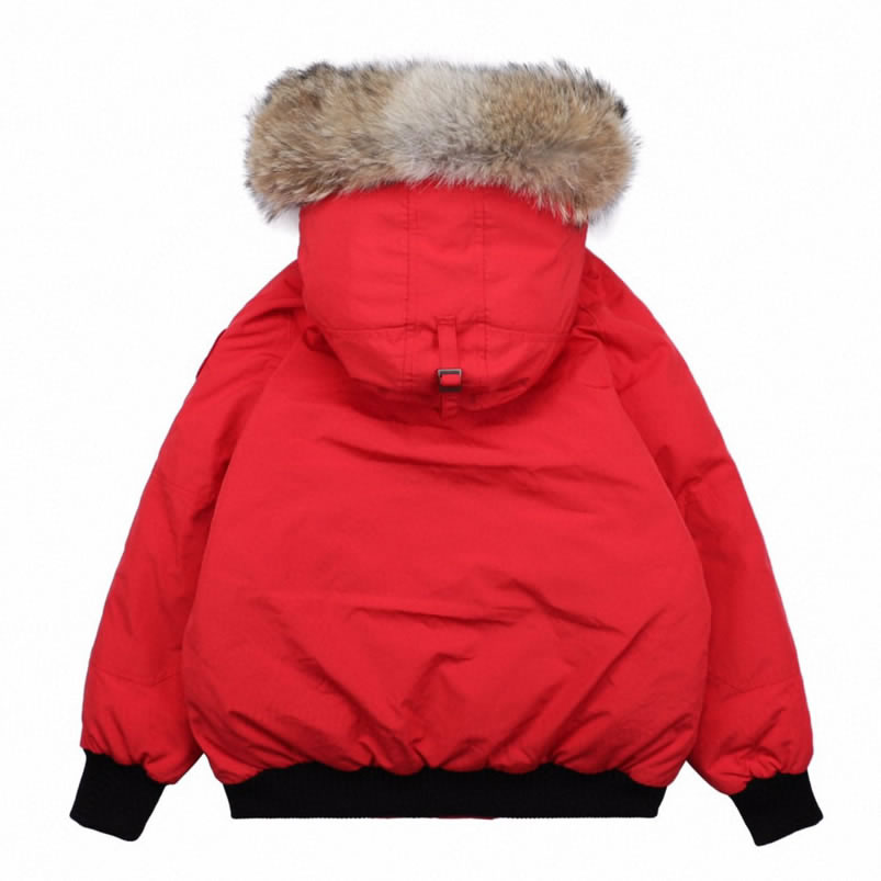 01 Canada Goose 19fw Pbi Chilliwack 7999mpb Down Jacket Coat Red (2) - www.newkick.org 01 Canada Goose 19fw Pbi Chilliwack 7999mpb Down Jacket Coat Red (2) - www.newkick.org