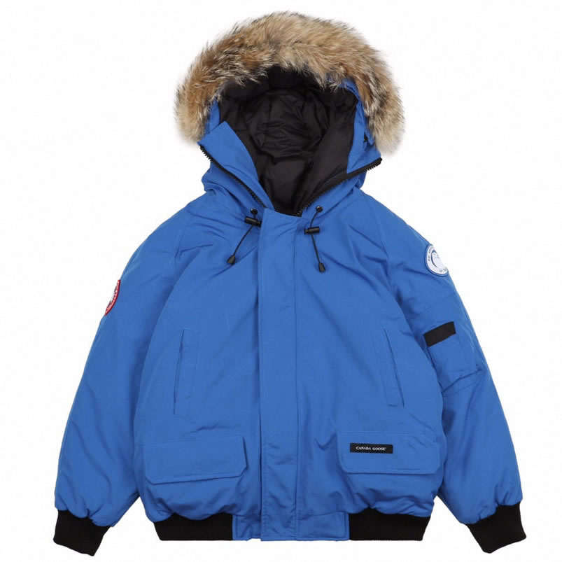 01 Canada Goose 19fw Pbi Chilliwack 7999mpb Down Jacket Coat Sky Blue (1) - www.newkick.org 01 Canada Goose 19fw Pbi Chilliwack 7999mpb Down Jacket Coat Sky Blue (1) - www.newkick.org
