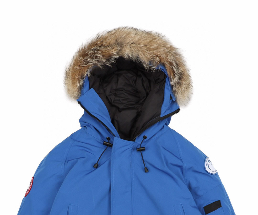 01 Canada Goose 19fw Pbi Chilliwack 7999mpb Down Jacket Coat Sky Blue (3) - www.newkick.org 01 Canada Goose 19fw Pbi Chilliwack 7999mpb Down Jacket Coat Sky Blue (3) - www.newkick.org