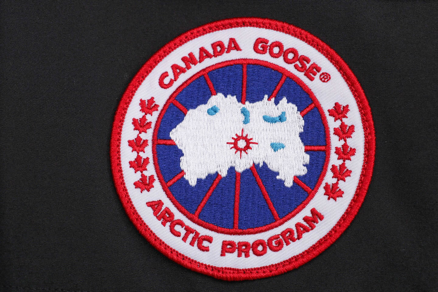 08 Canada Goose 19fw Expedition 4660ma Down Jacket Coat Black (6) - www.newkick.org