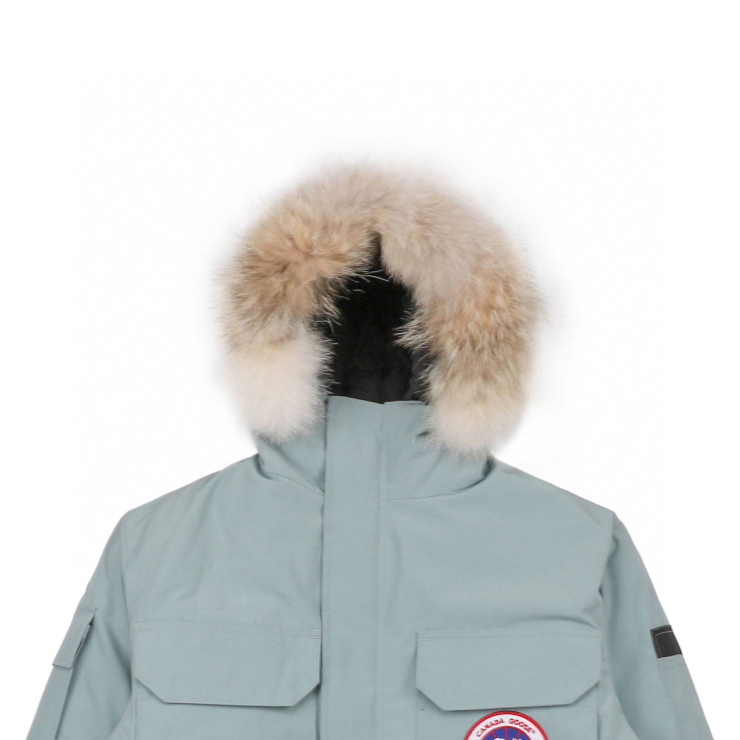 08 Canada Goose 19fw Expedition 4660ma Down Jacket Coat Cyan (3) - www.newkick.org