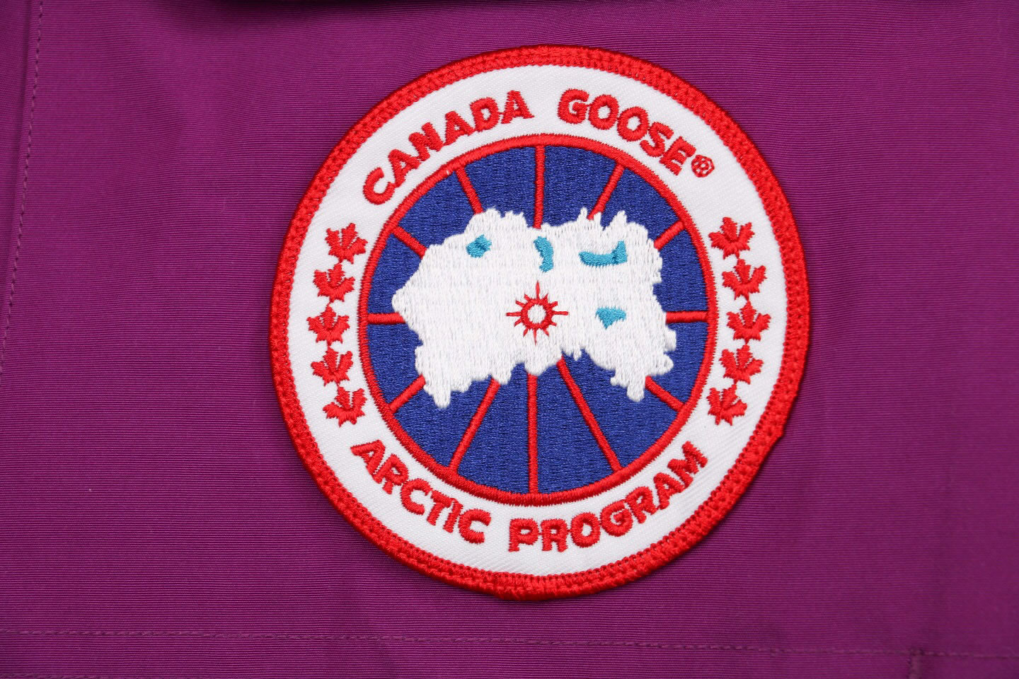 08 Canada Goose 19fw Expedition 4660ma Down Jacket Coat Purple (5) - www.newkick.org
