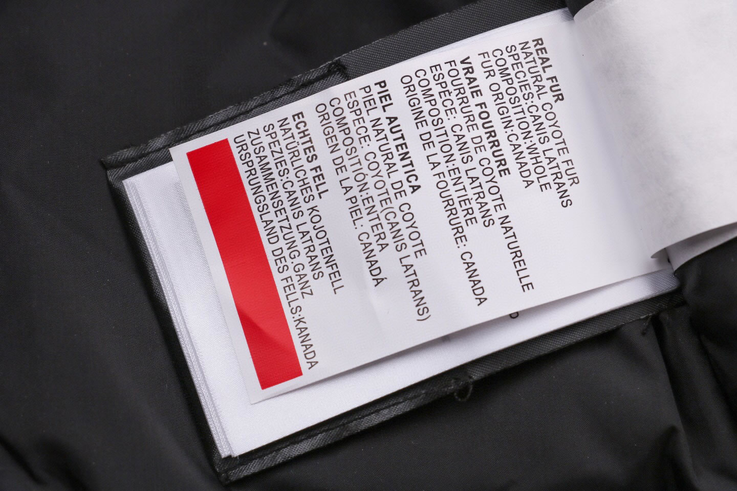 08 Canada Goose 19fw Expedition 4660ma Down Jacket Coat Purple (9) - www.newkick.org