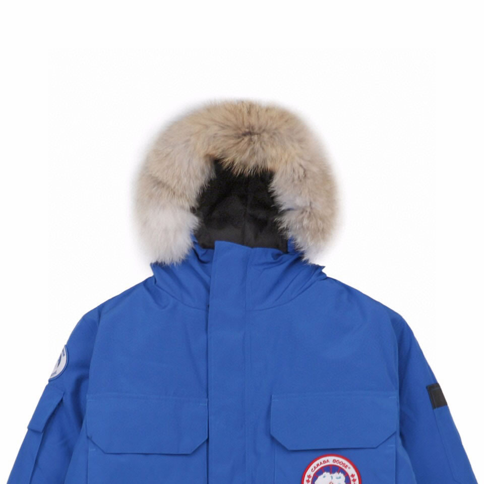 08 Canada Goose 19fw Expedition 4660ma Down Jacket Coat Sky Blue (5) - www.newkick.org
