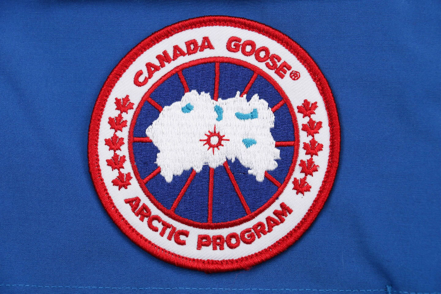 08 Canada Goose 19fw Expedition 4660ma Down Jacket Coat Sky Blue (6) - www.newkick.org