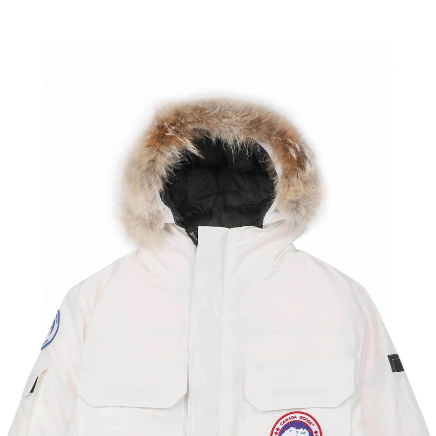 08 Canada Goose 19fw Expedition 4660ma Down Jacket Coat White (5) - www.newkick.org