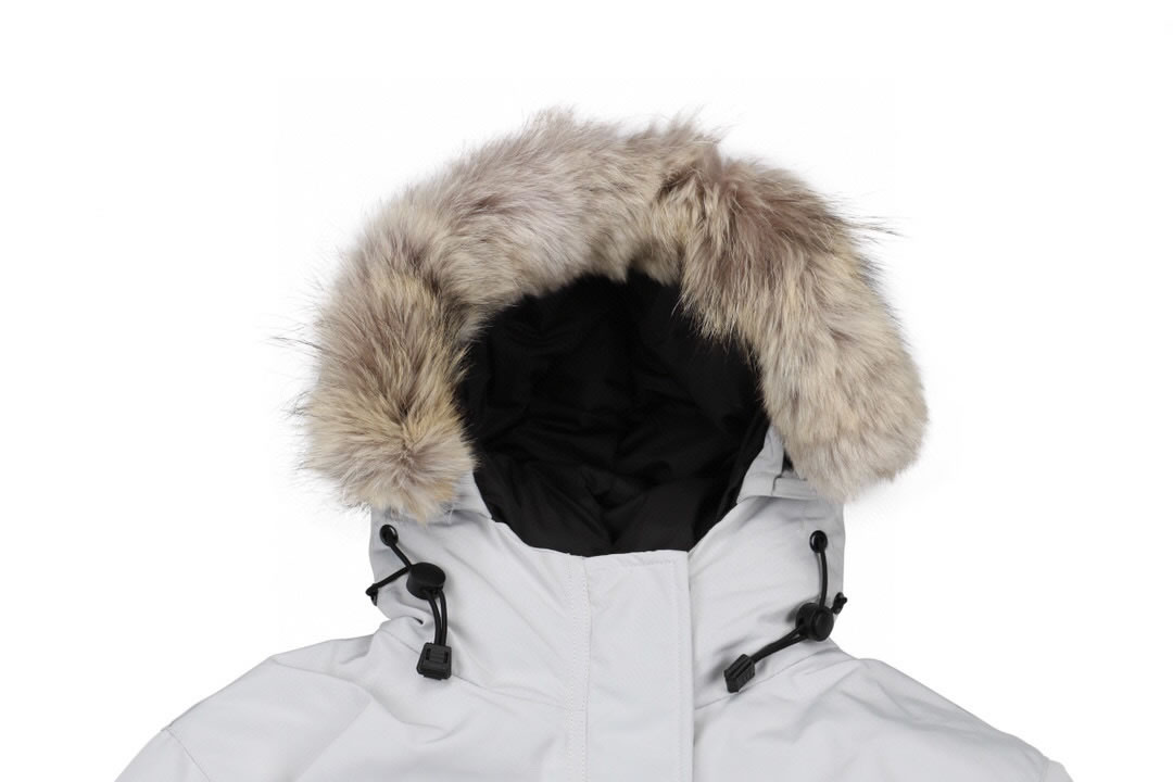09 Canada Goose 19fw Expedition 4660la Down Jacket Coat Silver White (8) - www.newkick.org