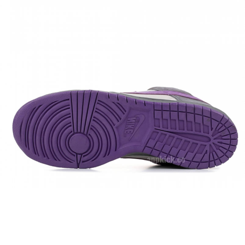 Nike Dunk Sb Low Purple Pigeon 304292 051 (5) - www.newkick.org