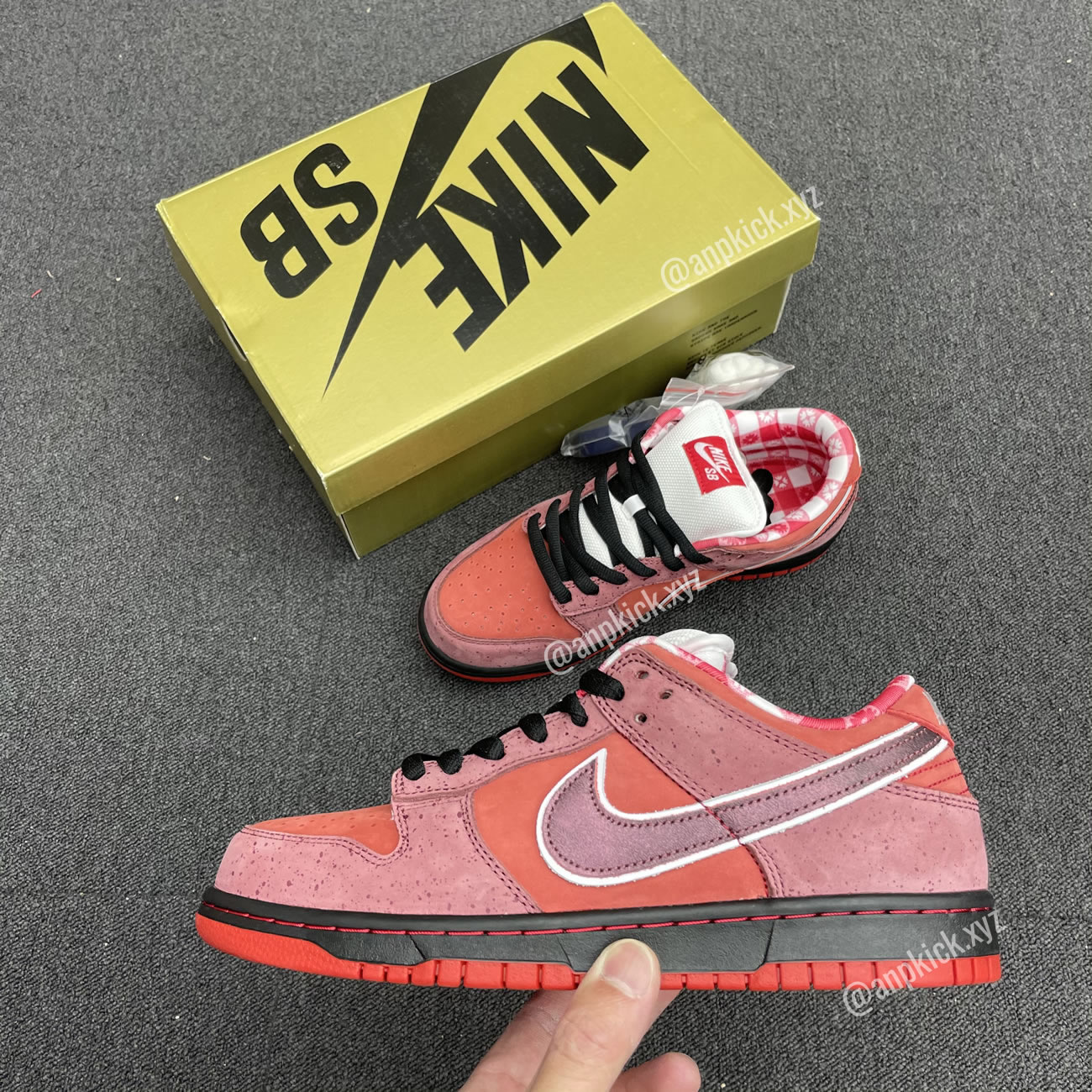 Anpkick Nike Sb Dunk Low Concepts Red Lobster 313170 661 (2) - www.newkick.org Anpkick Nike Sb Dunk Low Concepts Red Lobster 313170 661 (2) - www.newkick.org