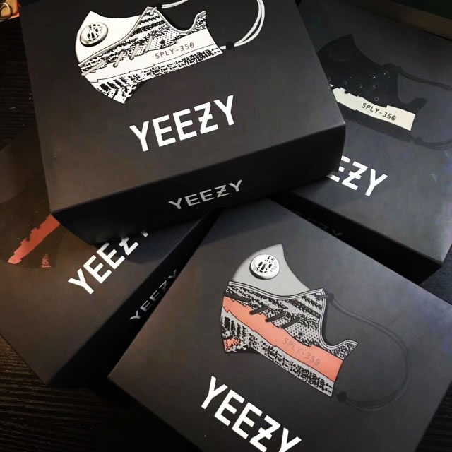 Adidas Yeezy Boost 350 V2 Face Mask (1) - www.newkick.org
