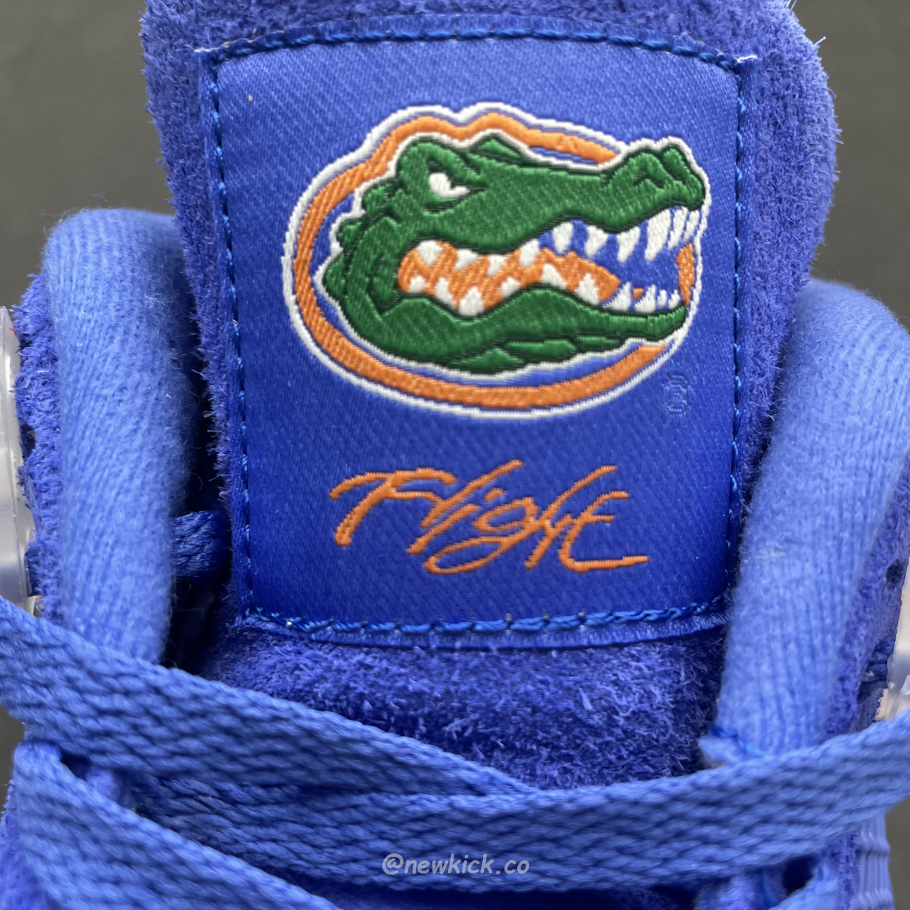 Air Jordan 4 Retro Florida Gators 904283 (5) - www.newkick.org