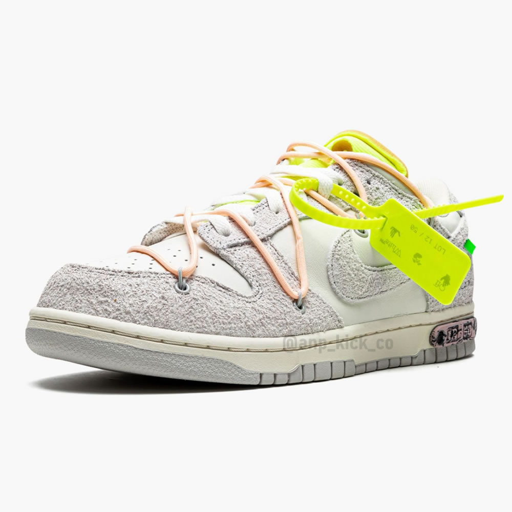 Off White Nike Sb Dunk Low Lot 12 Of 50 (4) - www.newkick.org