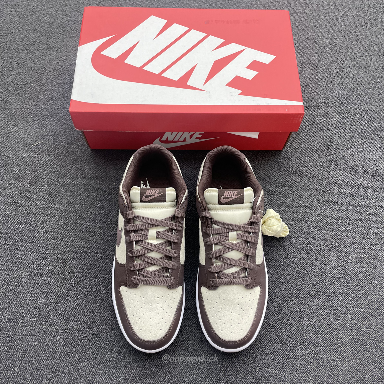 Nike Dunk Low Plum Eclipse Fj4734 100 (13) - www.newkick.org