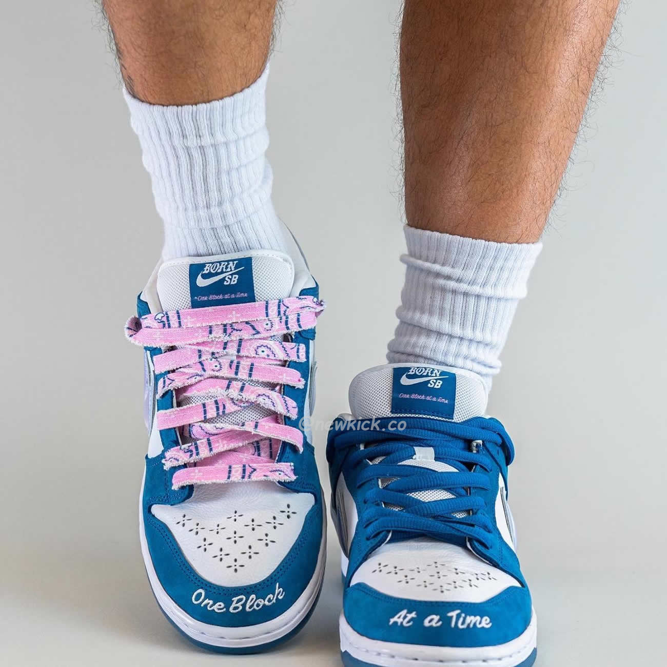 Nike Sb Dunk Low Born X Raised One Block At A Time Fn7819 400 (10) - www.newkick.org