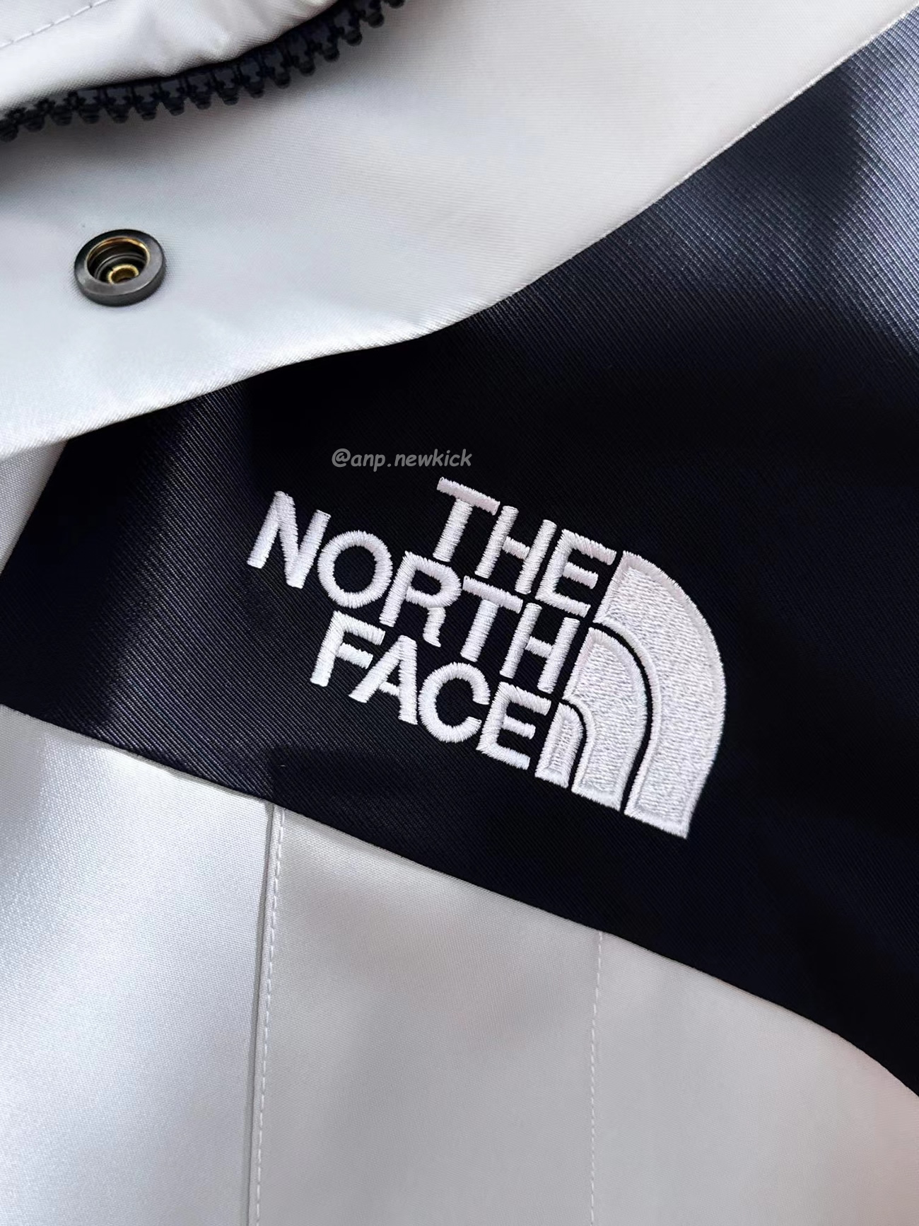 The North Face Retro 1986 Futurelight (3) - www.newkick.org
