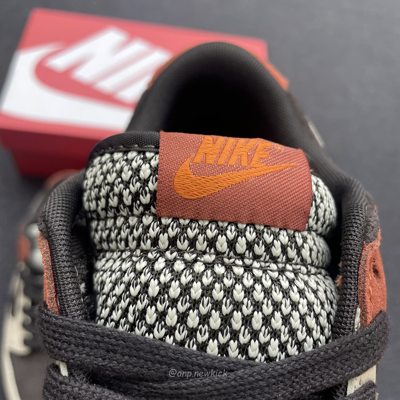 Nike Dunk Low Red Panda Fv0305 200 (10) - www.newkick.org