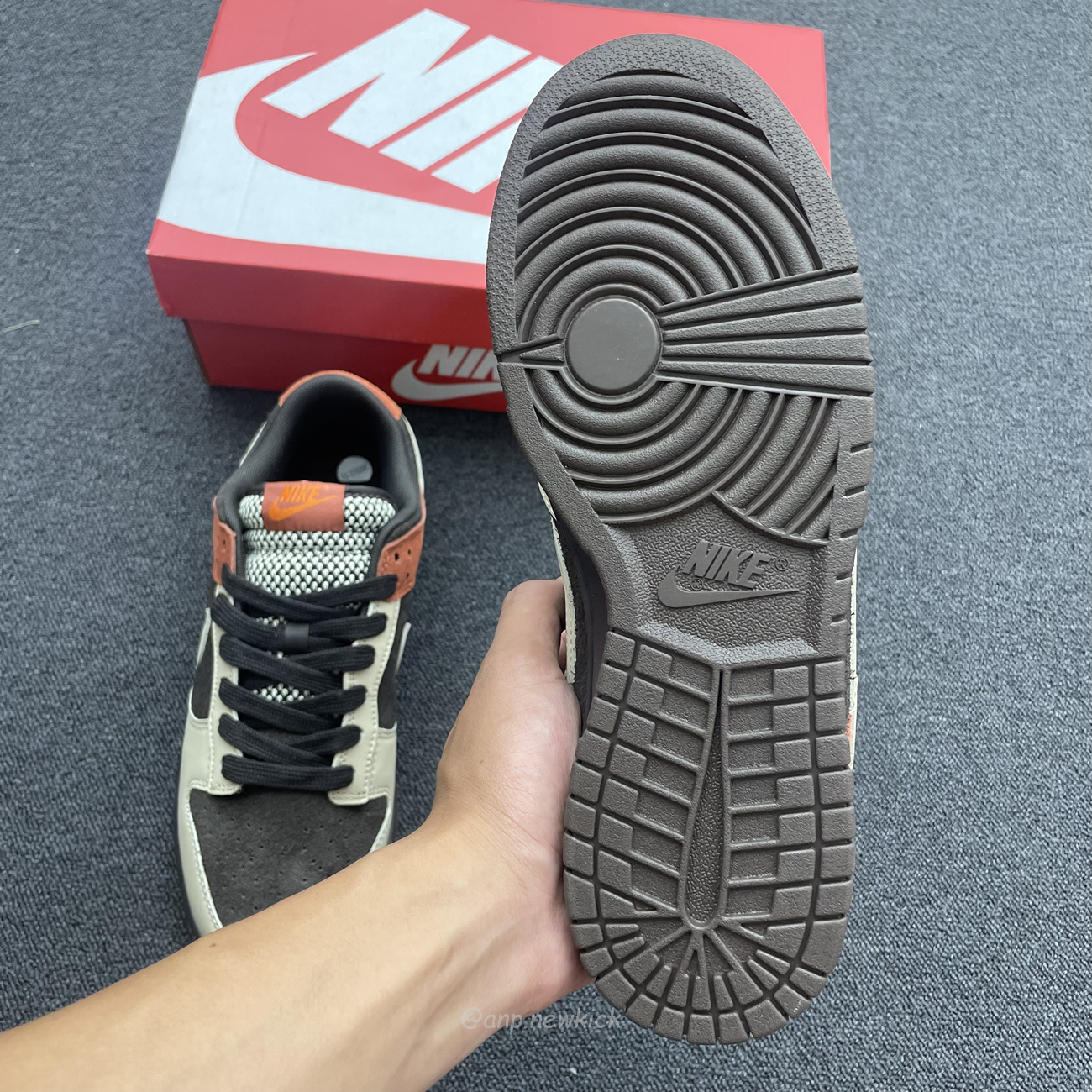 Nike Dunk Low Red Panda Fv0305 200 (9) - www.newkick.org