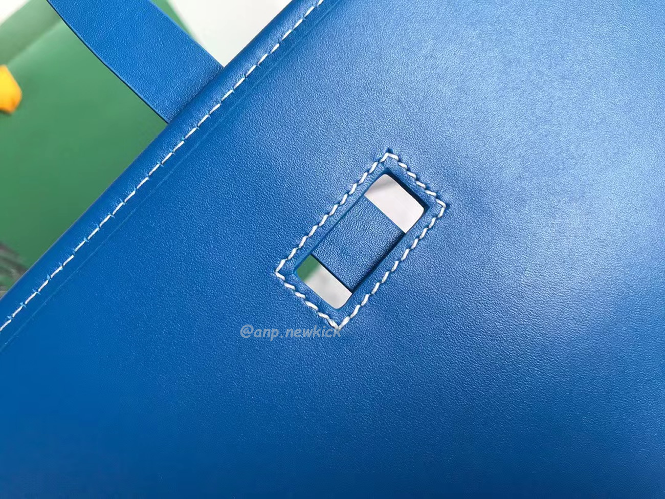 Goyard Belvedere Pm Green Red Sky Blue Black Yellow (11) - www.newkick.org