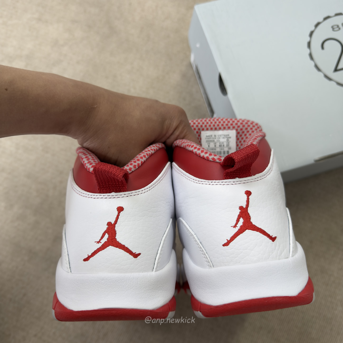Air Jordan 10 Retro Red Steel 310805 161 (8) - www.newkick.org