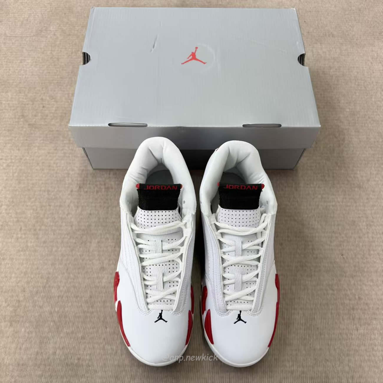 Air Jordan 14 Retro Rip Hamilton 487471 100 (4) - www.newkick.org