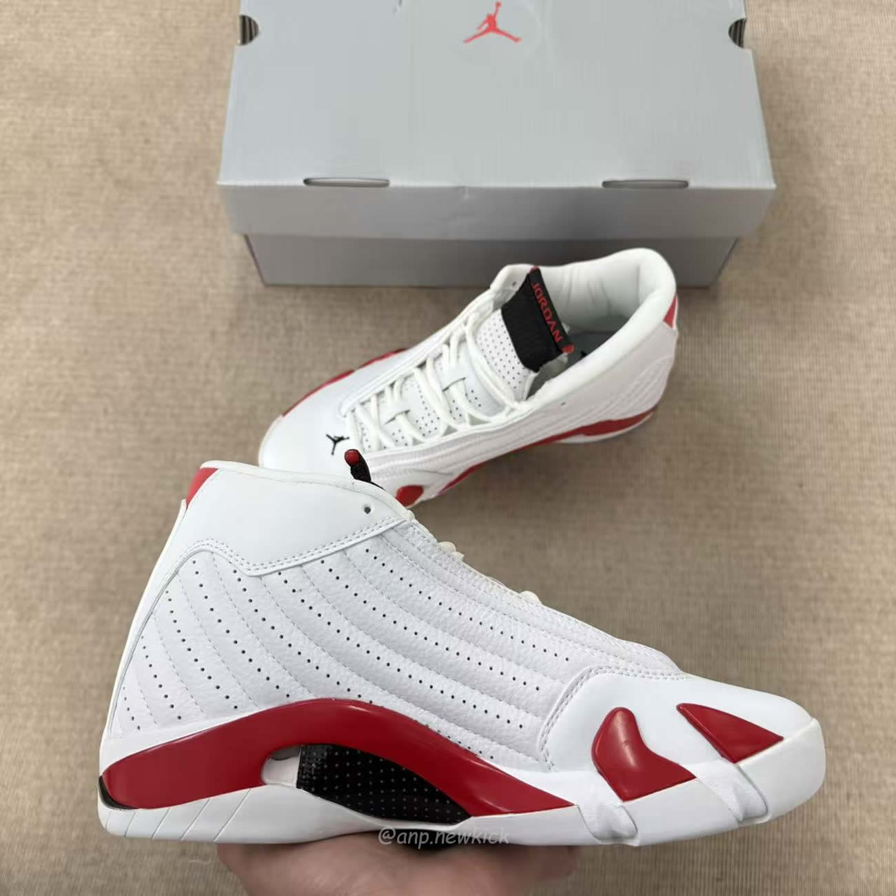 Air Jordan 14 Retro Rip Hamilton 487471 100 (5) - www.newkick.org