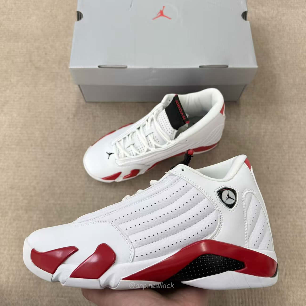 Air Jordan 14 Retro Rip Hamilton 487471 100 (6) - www.newkick.org