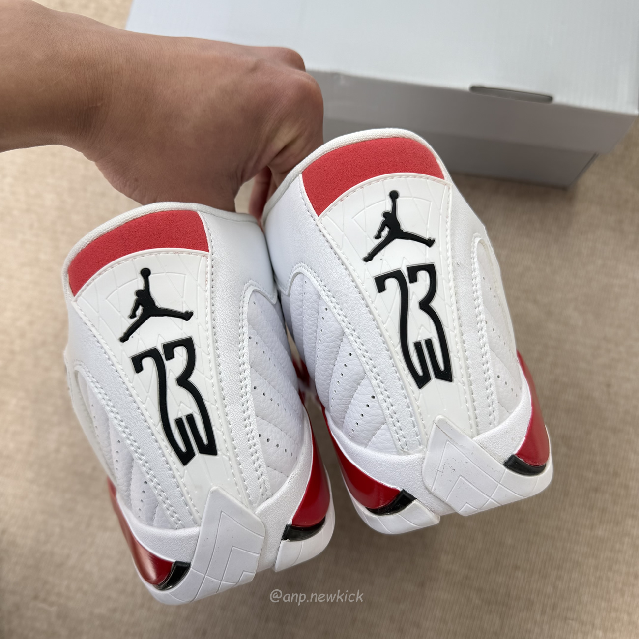 Air Jordan 14 Retro Rip Hamilton 487471 100 (3) - www.newkick.org