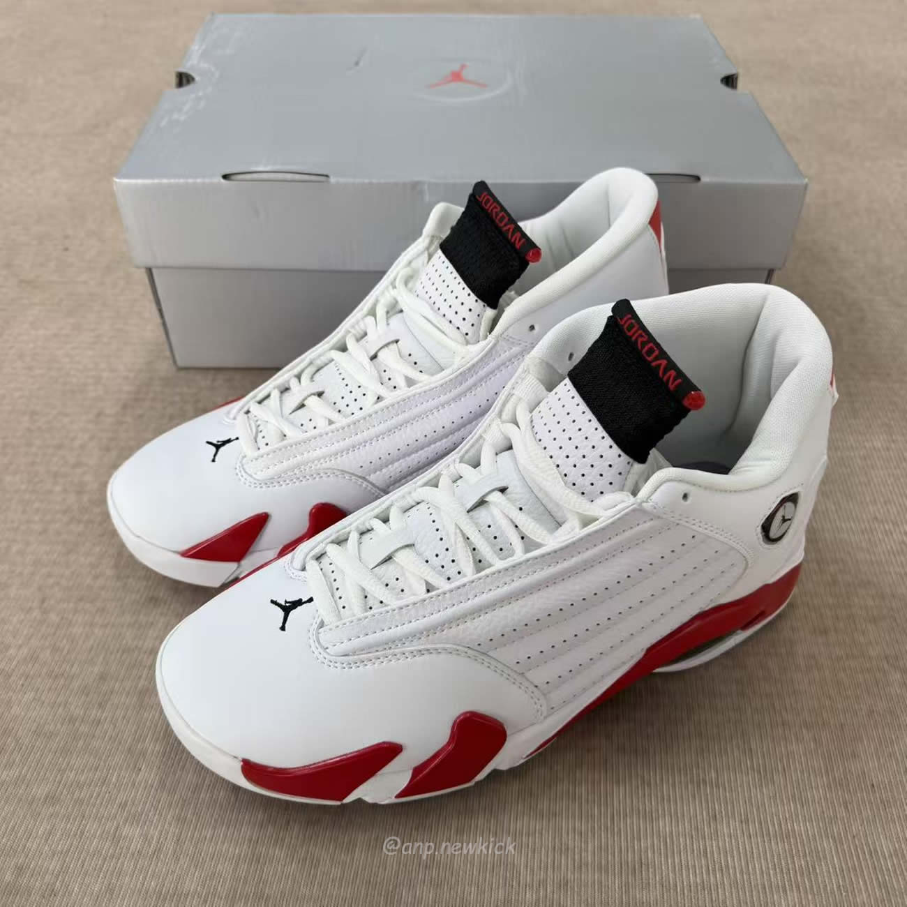 Air Jordan 14 Retro Rip Hamilton 487471 100 (7) - www.newkick.org