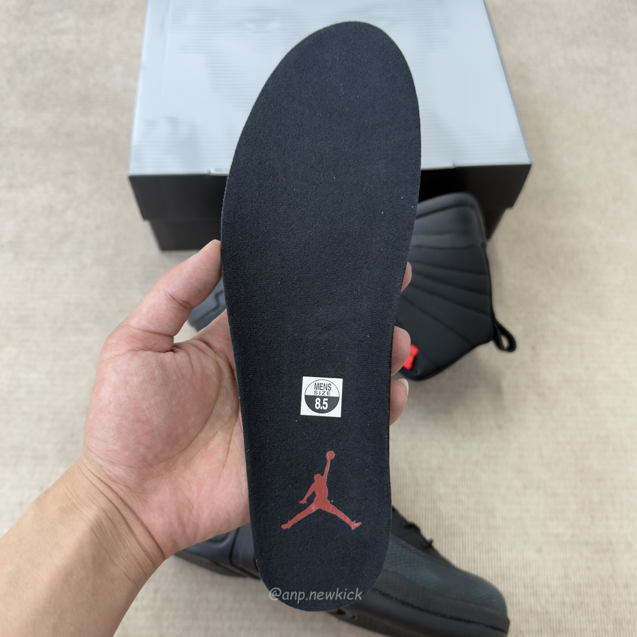 Air Jordan 12 Retro Bloodline Black Ct8013 003 (2) - www.newkick.org