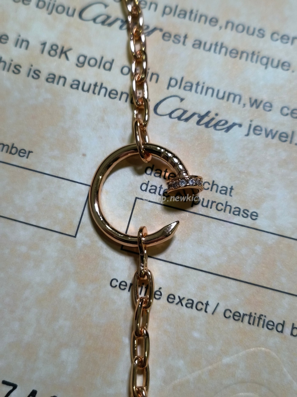 Cartier Necklace (5) - www.newkick.org