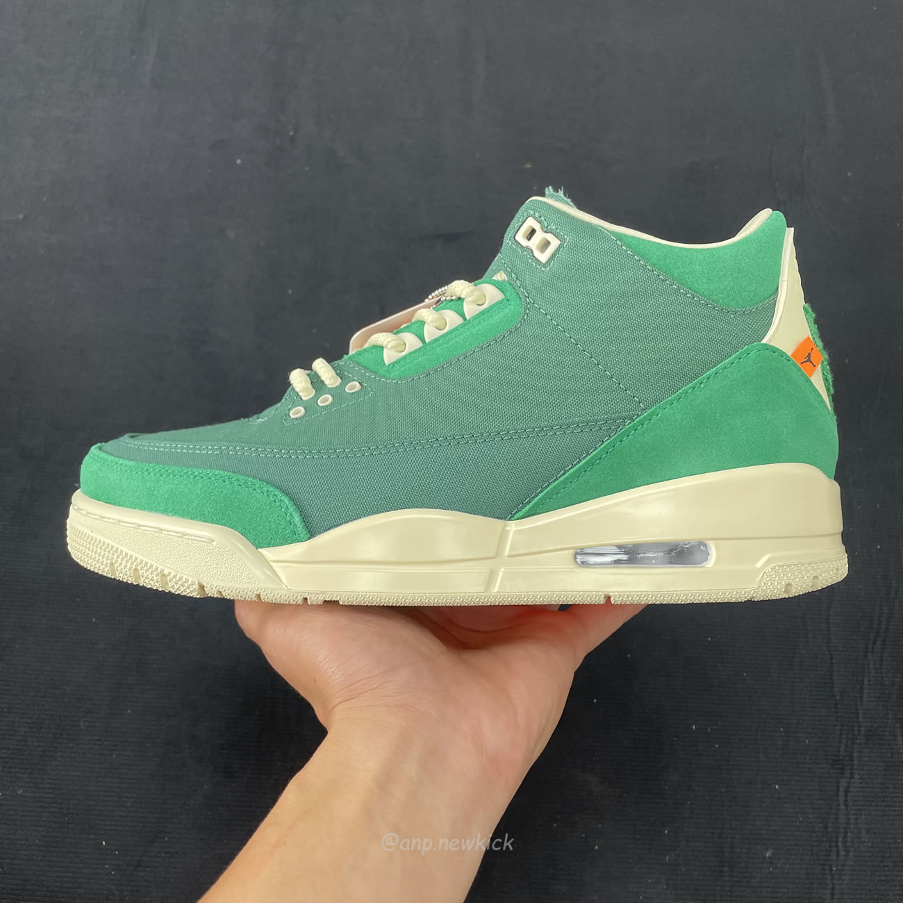 Air Jordan 3 Retro Sp Nina Chanel Abney Bicoastal Womens Fz7974 300 (3) - www.newkick.org