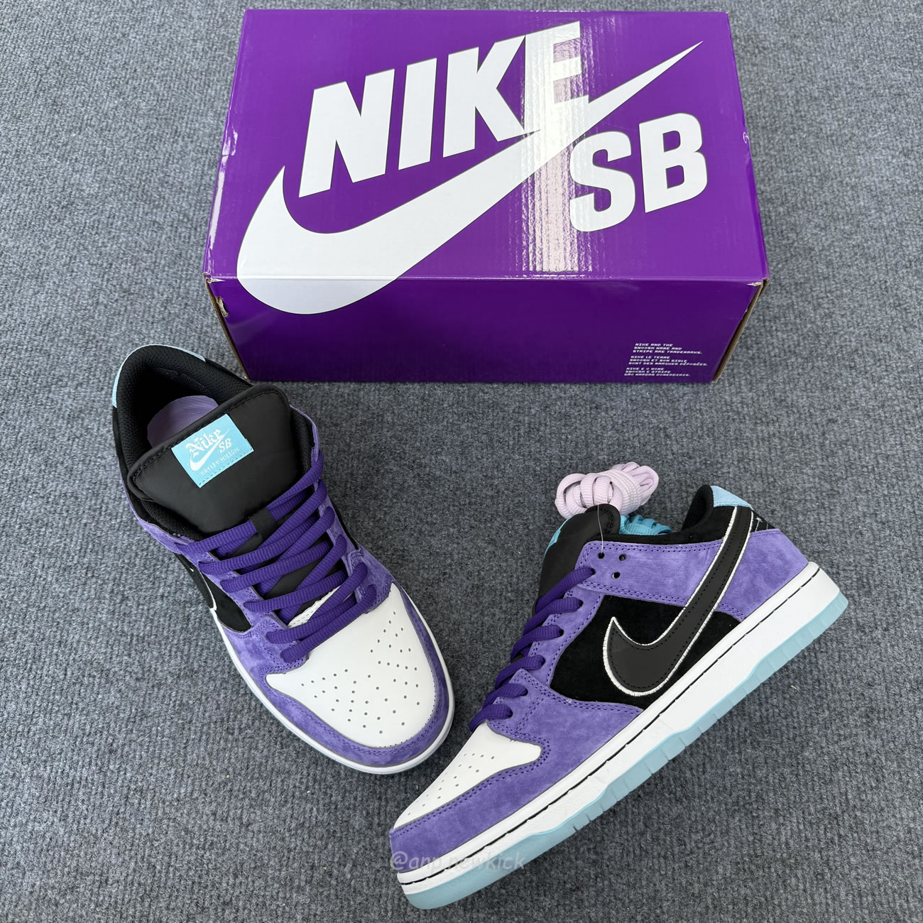 Nike Sb Dunk Low Hayley Wilson Hj0513 500 (10) - www.newkick.org