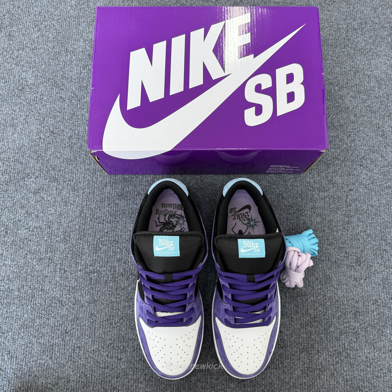 Nike Sb Dunk Low Hayley Wilson Hj0513 500 (11) - www.newkick.org