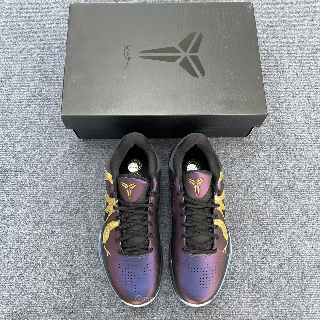 Nike Kobe 5 Protro Year Of The Mamba Eggplant Ib4481 500 (6) - www.newkick.org