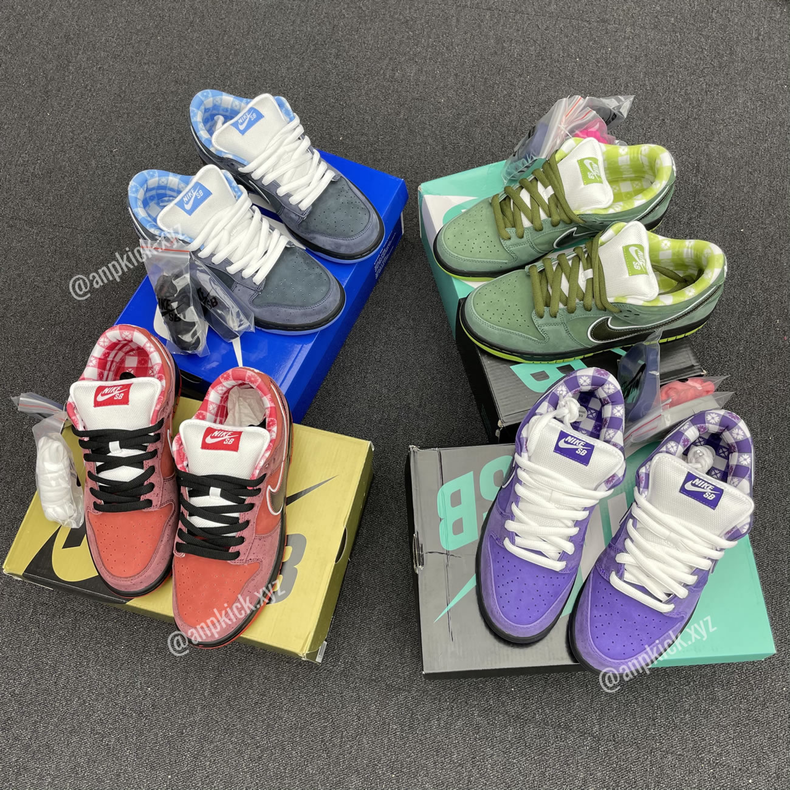 Nike SB Dunk Low Concepts 