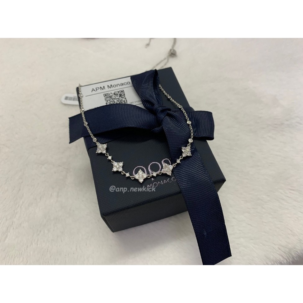 APM necklace